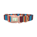 Colorful Stripe Dog Collar - plastic rose gold