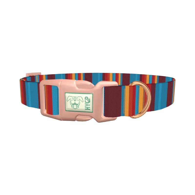 Colorful Stripe Dog Collar - plastic rose gold