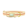 Geometric Hexagon Dog Collar - plastic gold