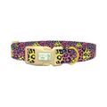 Colorful Leopard Print Dog Collar - plastic gold