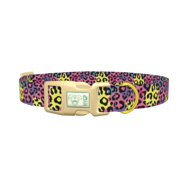 Colorful Leopard Print Dog Collar - plastic gold