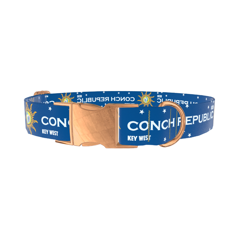 Conch Republic Star Dog Collar - metal gold
