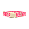 Valentine Love Heart Dog Collar - plastic silver