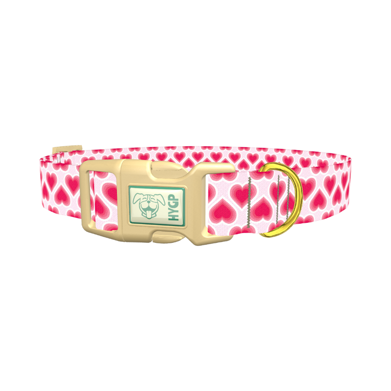 Pink Radiant Heart Dog Collar - plastic gold