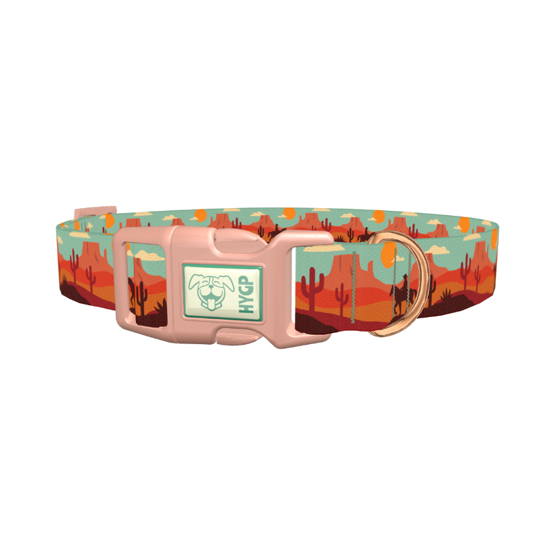 Southwest Desert Dog Collar - plastic rose gold
