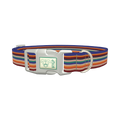 Southwestern Stripe Dog Collar - plastic silver