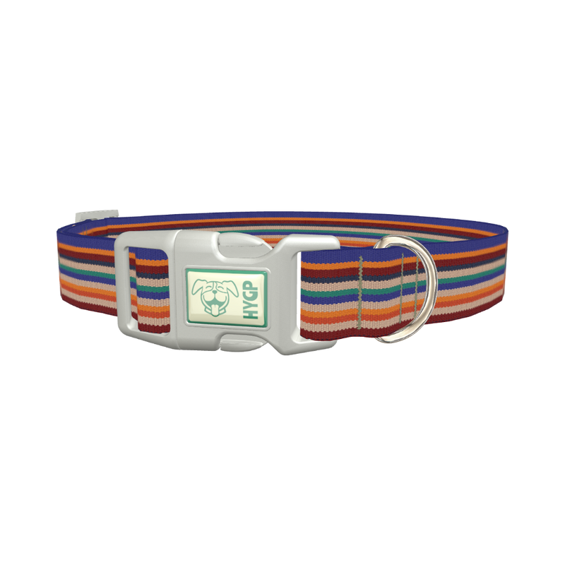 Southwestern Stripe Dog Collar - plastic silver
