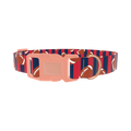 Patriotic Football Dog Collar - plastic rose gold