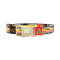 Key West Landmark Dog Collar - plastic silver