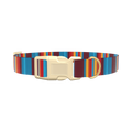 Colorful Stripe Dog Collar - plastic silver