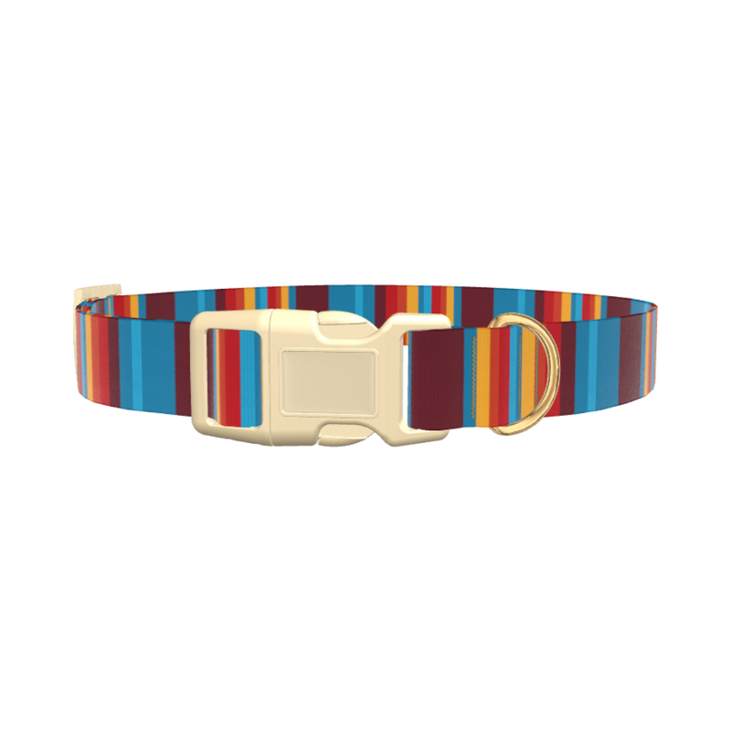 Colorful Stripe Dog Collar - plastic silver
