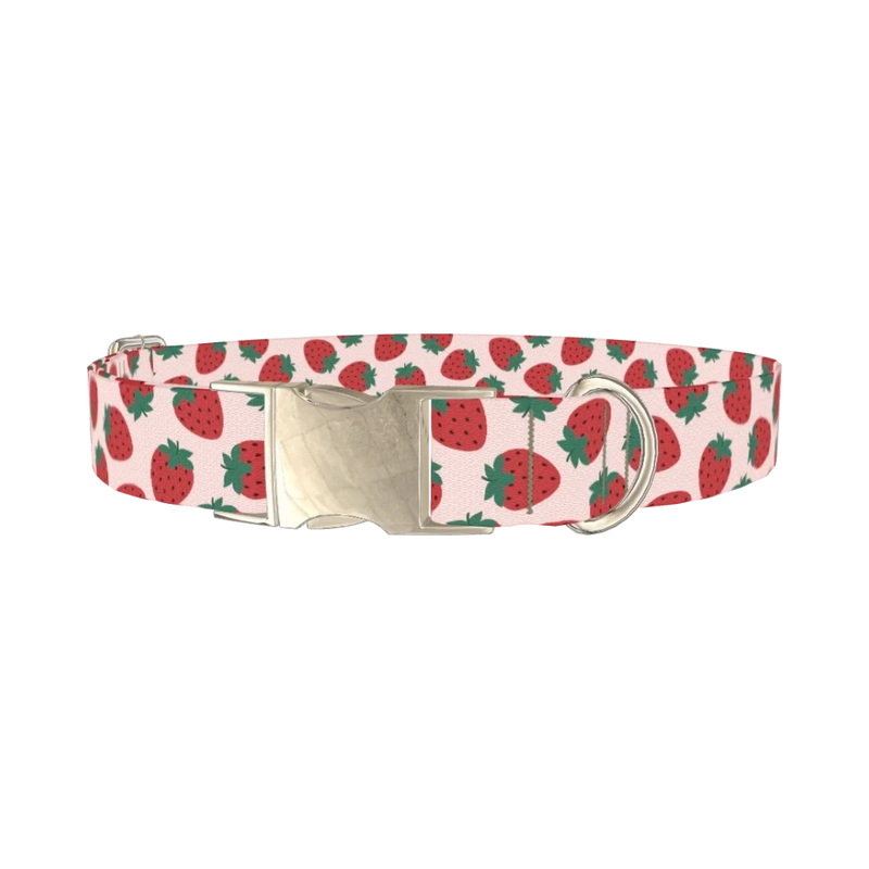 Red Strawberry Pattern Dog Collar - metal silver