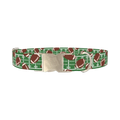 Green Football Field Dog Collar - metal silver