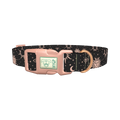 Celestial Sun and Moon Dog Collar - plastic rose gold