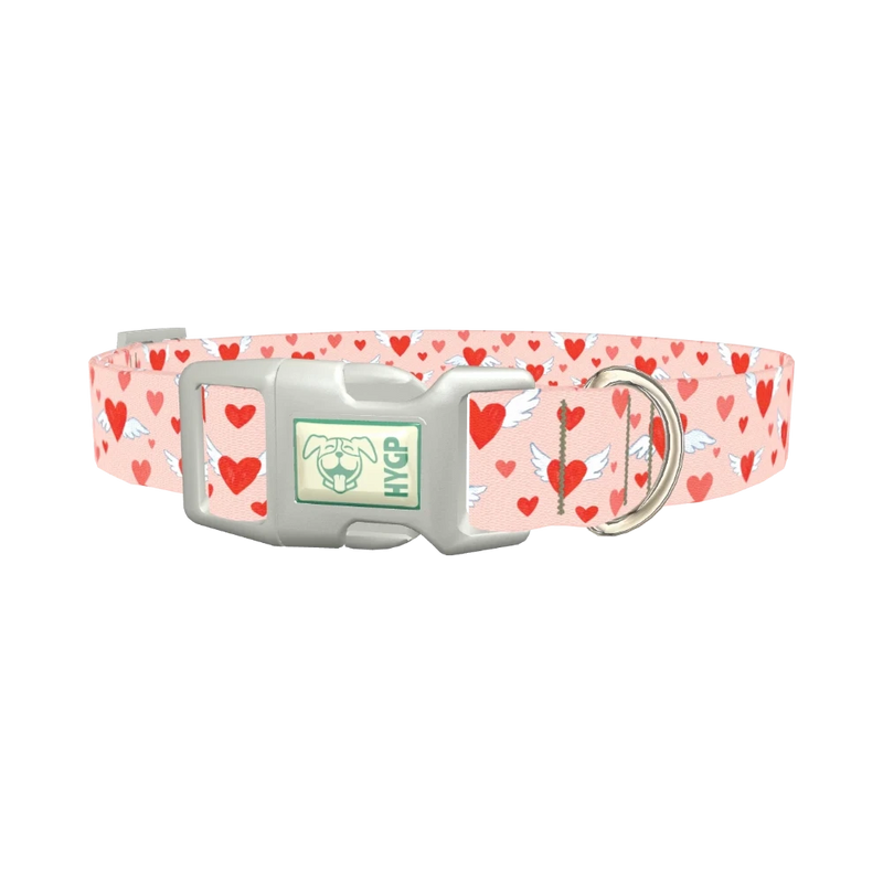 Flying Heart Dog Collar - plastic silver