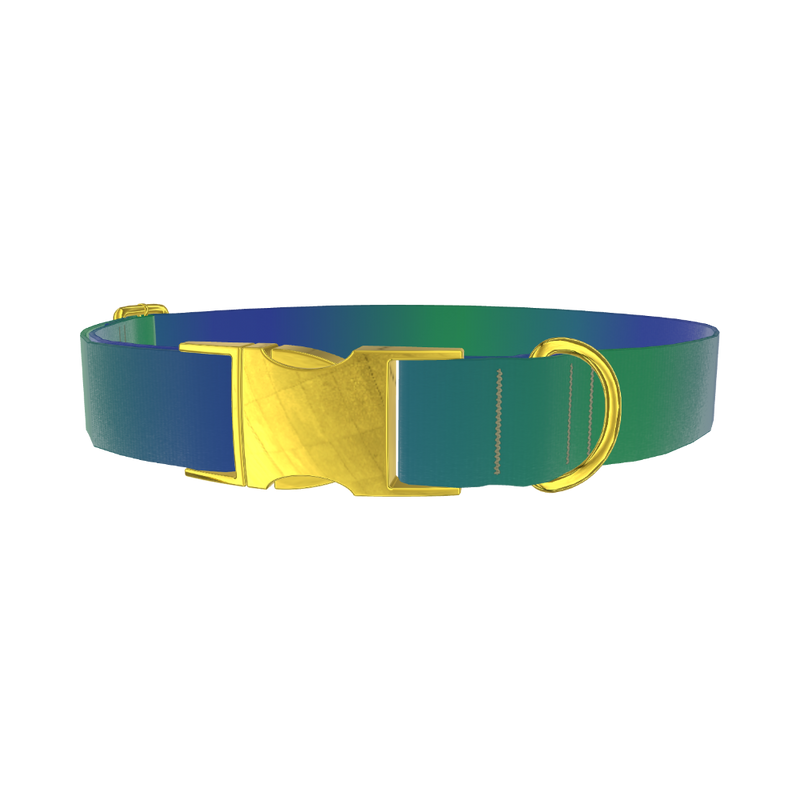 Gradient Blue Dog Collar - metal gold