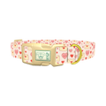 Valentine Hearts Dog Collar - plastic gold