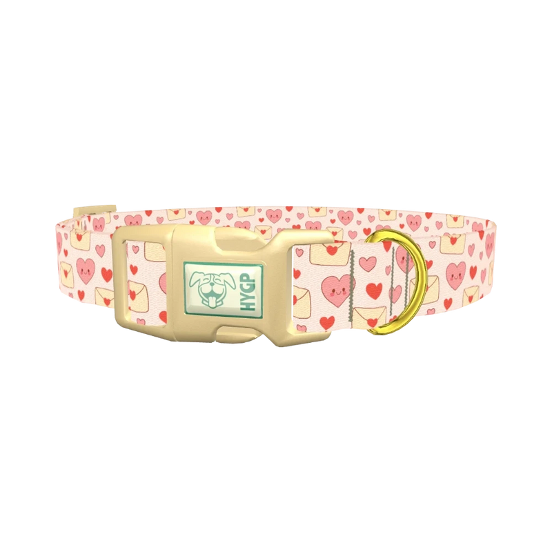 Valentine Hearts Dog Collar - plastic gold