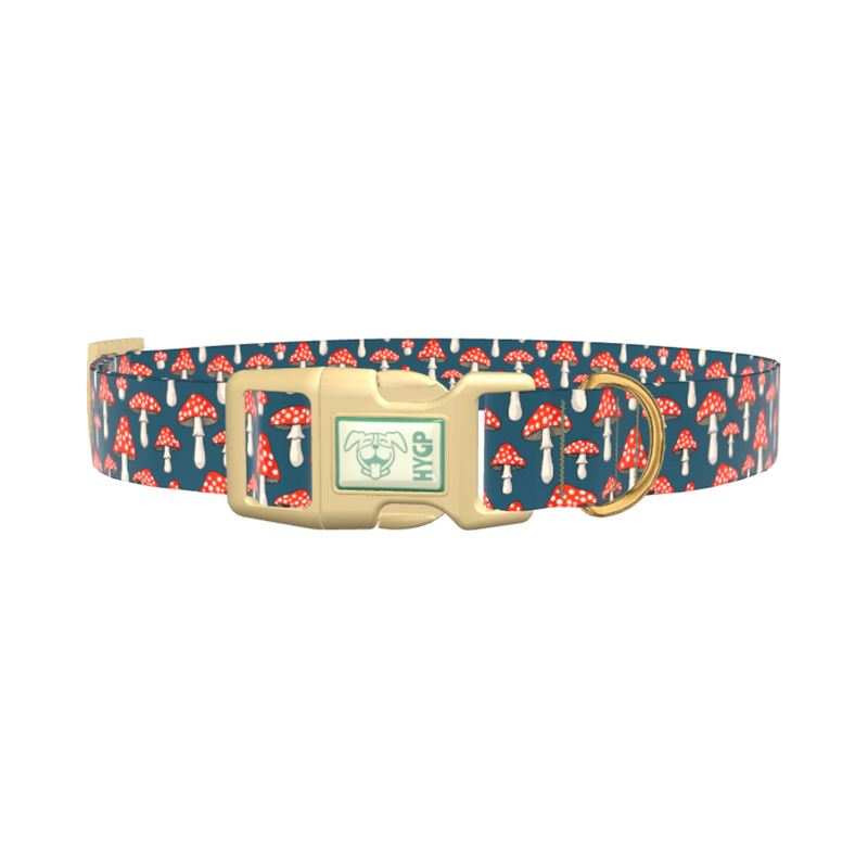 Halloween Mushroom Dog Collar - plastic silver