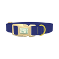 Official Violet Color Dog Collar - plastic gold