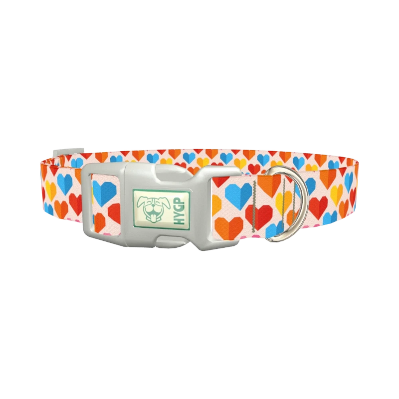 Colorful Geometric Heart Dog Collar - plastic silver