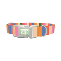 Colorful Stripe Pattern Dog Collar - plastic silver