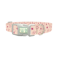 Cowboy Heart Dog Collar - plastic silver