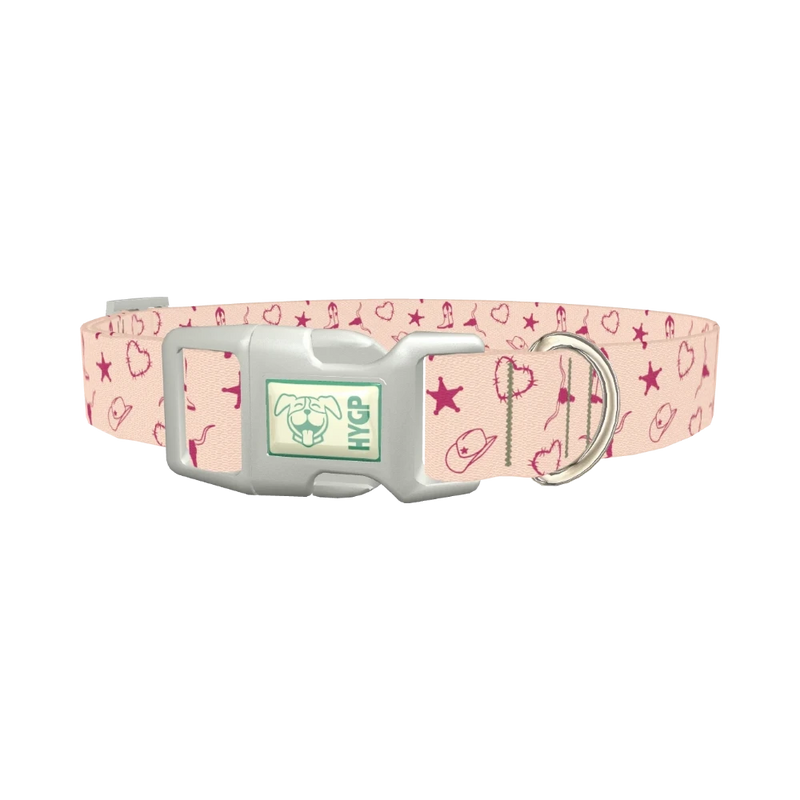 Cowboy Heart Dog Collar - plastic silver