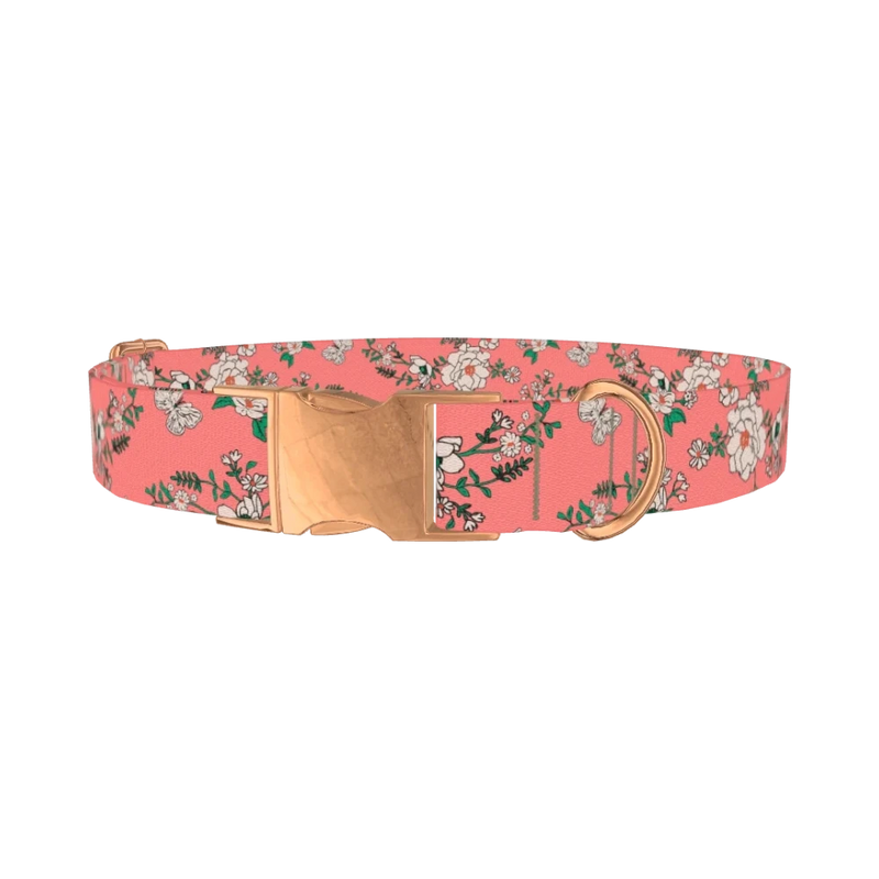 Pink Rosehip Dog Collar - metal rose gold