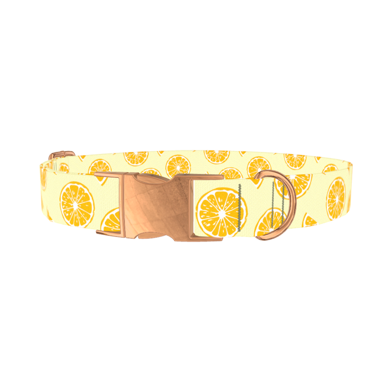 Yellow Citrus Slice Dog Collar - metal rose gold