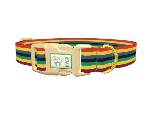 Bold Multicolor Stripe Dog Collar