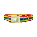 Bold Multicolor Stripe Dog Collar - plastic gold