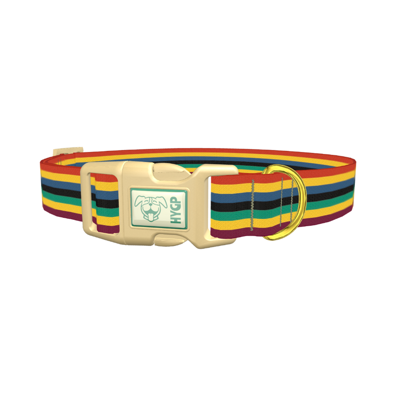 Bold Multicolor Stripe Dog Collar - plastic gold