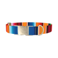 Mexican Textile Stripes Dog Collar - metal silver