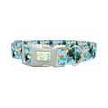 Tropical Toucan Dog Collar - plastic silver