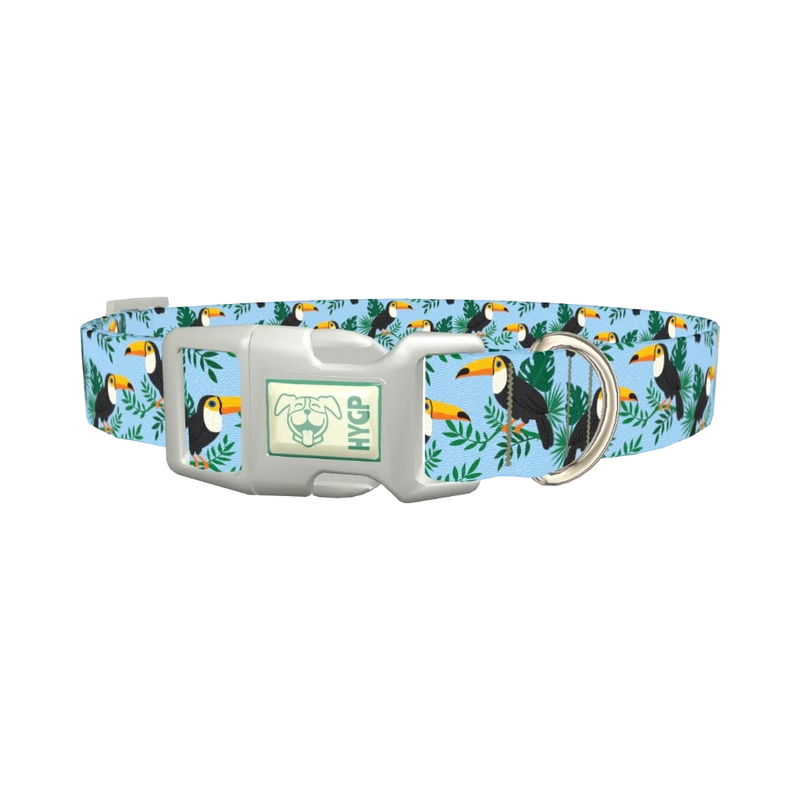 Tropical Toucan Dog Collar - plastic silver
