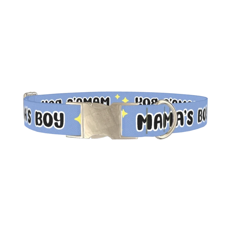 Mamas Boy Dog Collar - metal silver