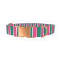 Pink and Green Stripe Dog Collar - metal rose gold