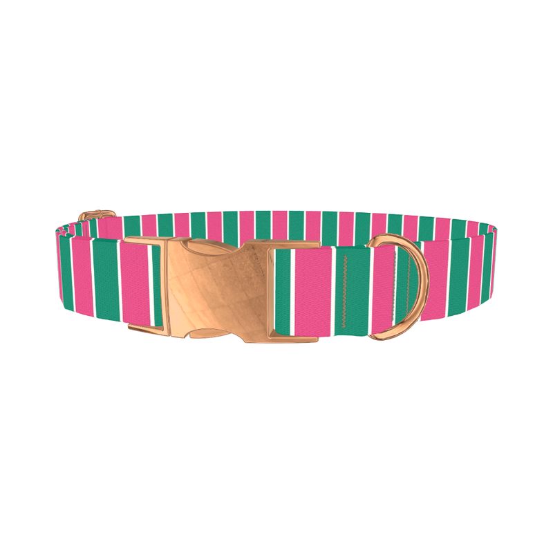 Pink and Green Stripe Dog Collar - metal rose gold