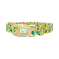 Multicolor Clover Dog Collar - plastic gold