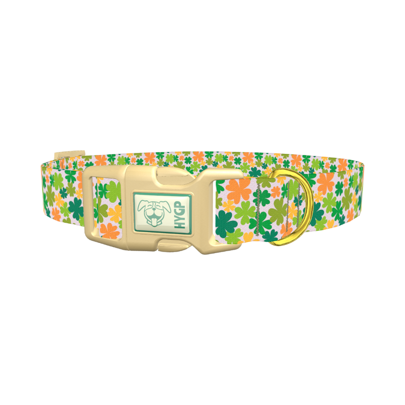 Multicolor Clover Dog Collar - plastic gold