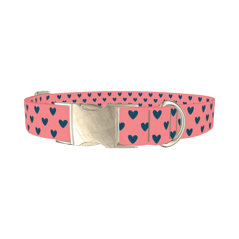 Sapphire Heart Dog Collar - metal silver