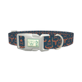 Rustic Skull Dog Collar - plastic silver