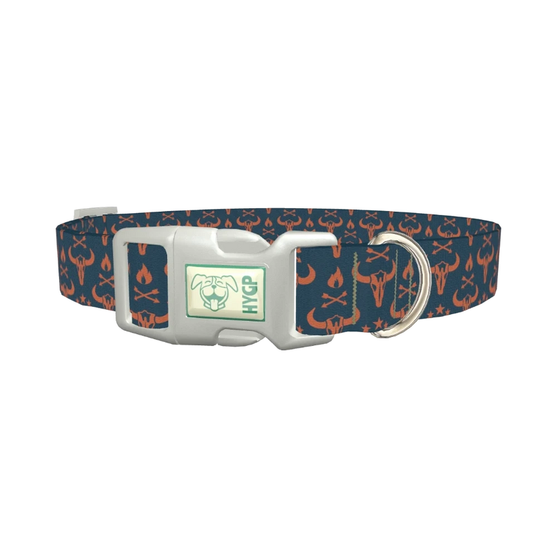 Rustic Skull Dog Collar - plastic silver
