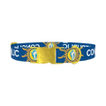 Conch Republic Star Dog Collar - metal gold