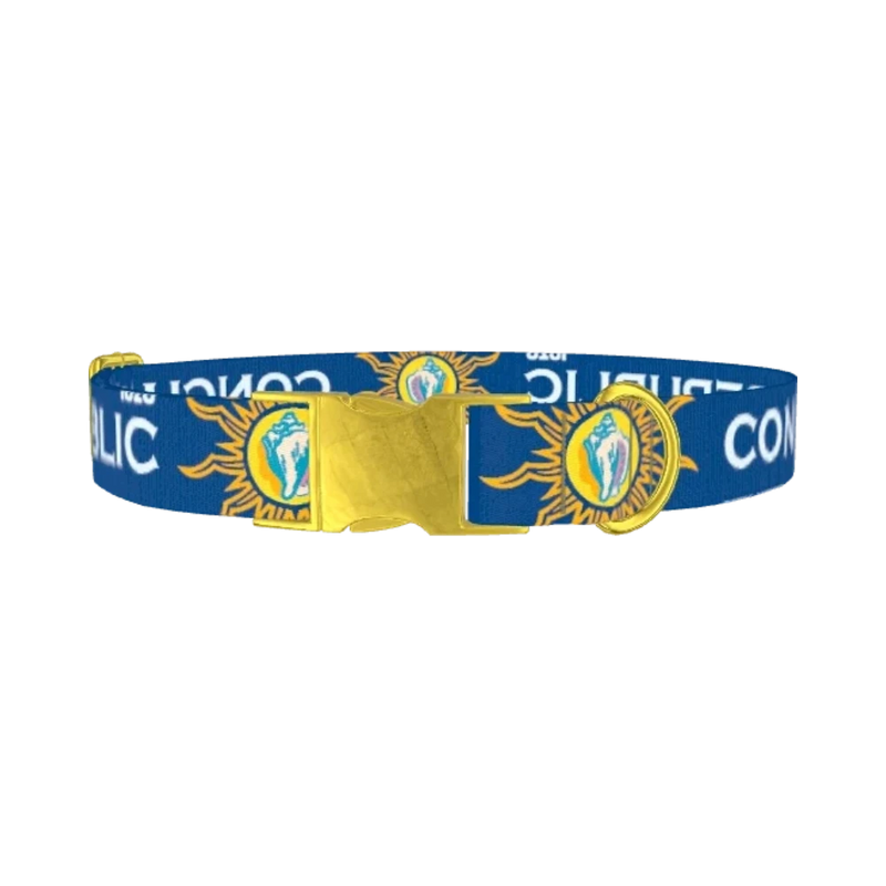 Conch Republic Star Dog Collar - metal gold