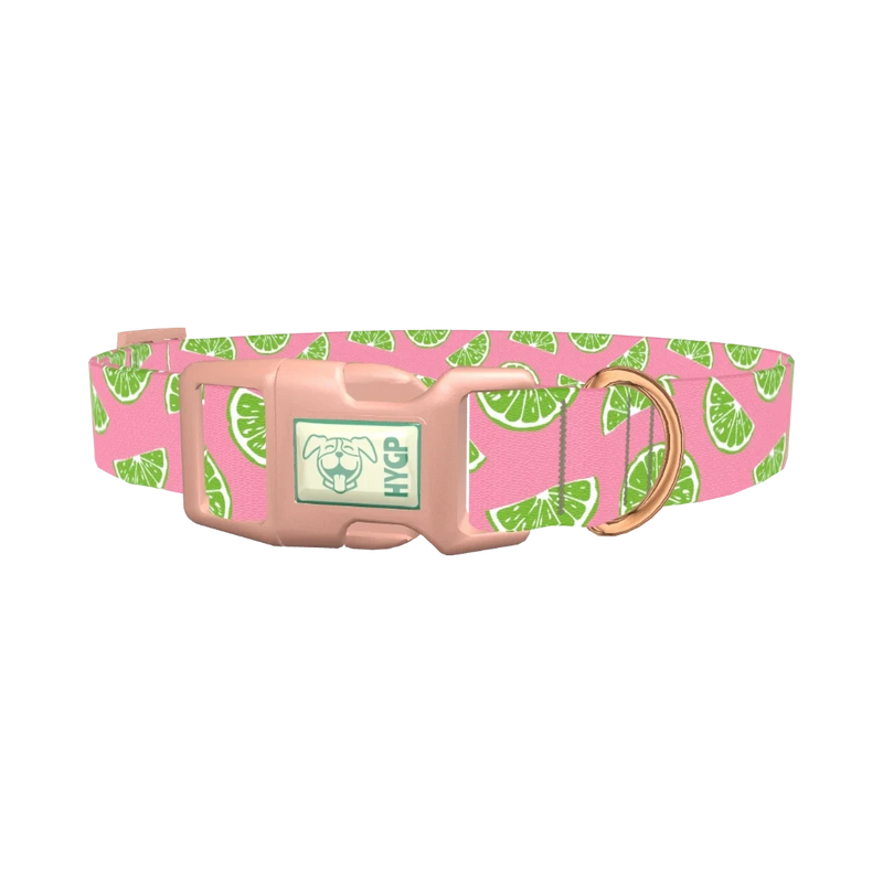 Pink Citrus Dog Collar - plastic rose gold