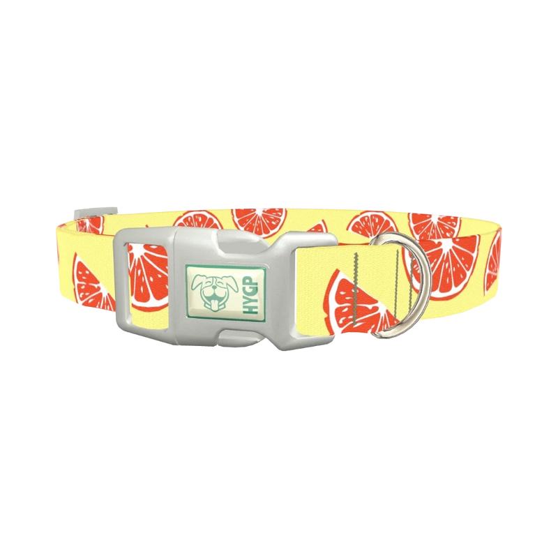 Citrus Fruit Dog Collar - plastic silver