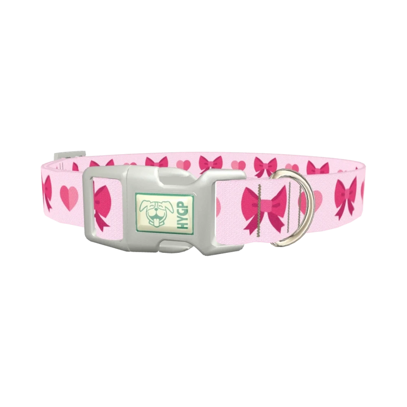 Ribbon Heart Dog Collar - plastic silver