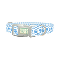 Cyan Skull Pattern Dog Collar - plastic silver